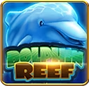 Dolphin Reef